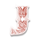 carnaval forever 10 icon