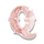 carnaval forever 9 icon