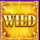 cash lab megaways wild2 symbol icon