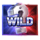 heist bank rush hold and win wild symbol icon