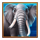 majestic megaways extreme 4 elephant symbol icon