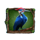 primal wilderness 4 icon