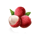 thai blossoms 3 icon