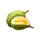thai blossoms 6 icon