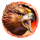 tigers claw 2 icon