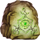 tigers claw 6 icon