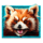 tigers luck hold and win red panda symbol icon