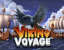 Viking Voyage