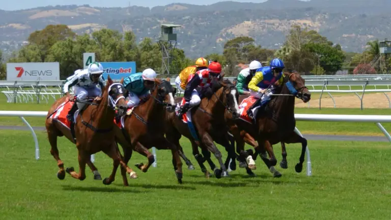 virtual sports betting interface
