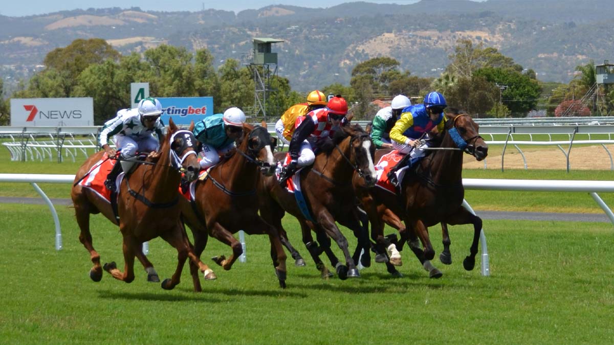virtual sports betting interface