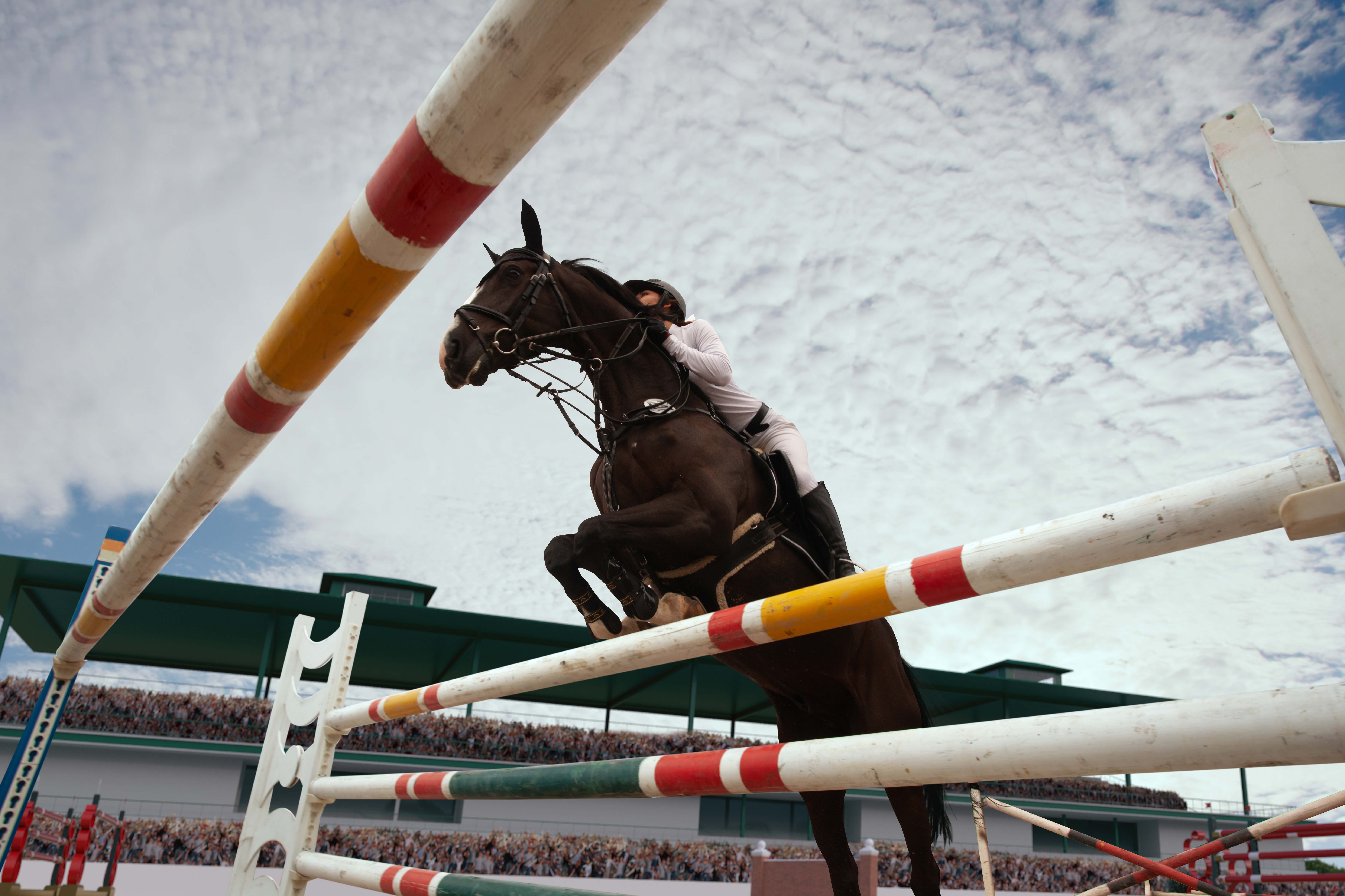 horse racing championship