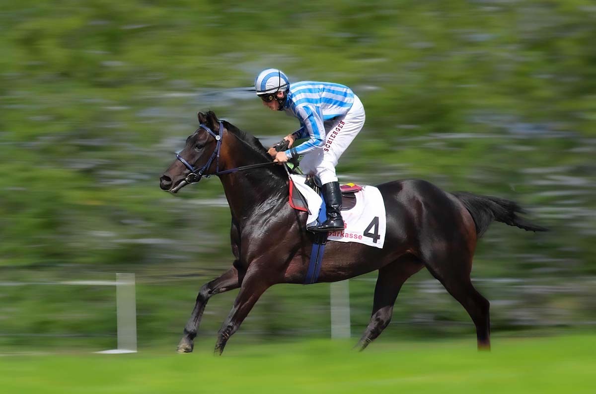 virtual horse racing sprint