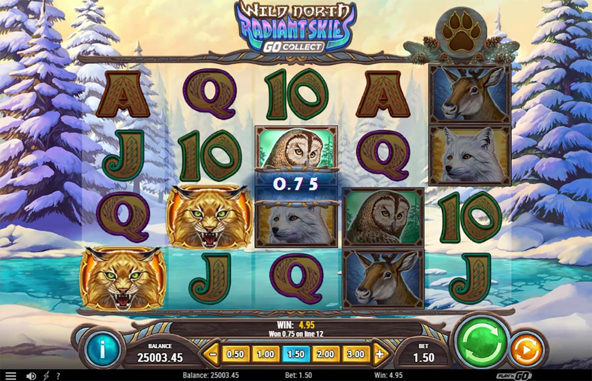 Wild North Radiant Skies gameplay